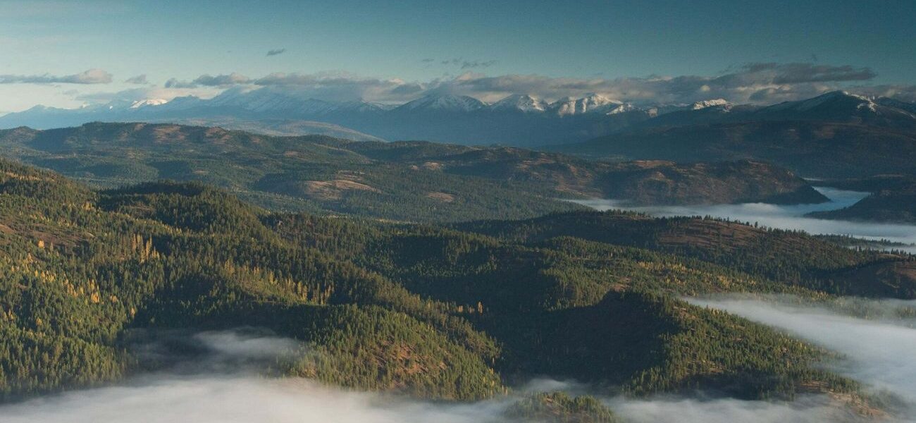 Montana