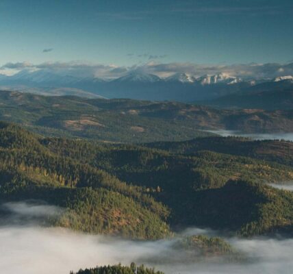 Montana